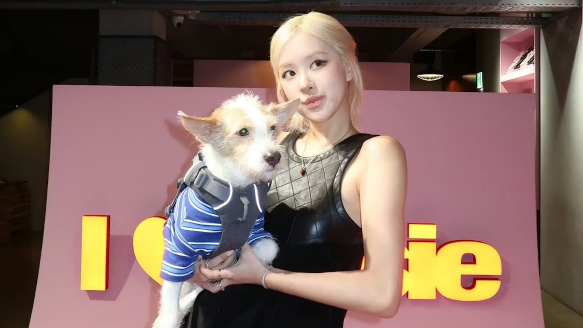 Rosé decide di posare con Hank, il cagnolino star dei social